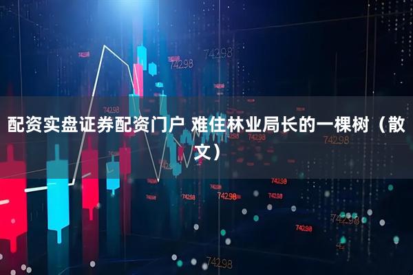 配资实盘证券配资门户 难住林业局长的一棵树(散文)